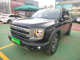 哈弗大狗 2024款 1.5T DCT边牧版