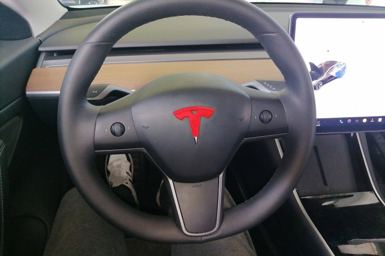 特斯拉 Model 3 2019款 标准续航后驱升级版局部细节13