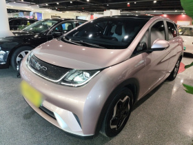 比亚迪 海豚 2021款 405km 时尚版