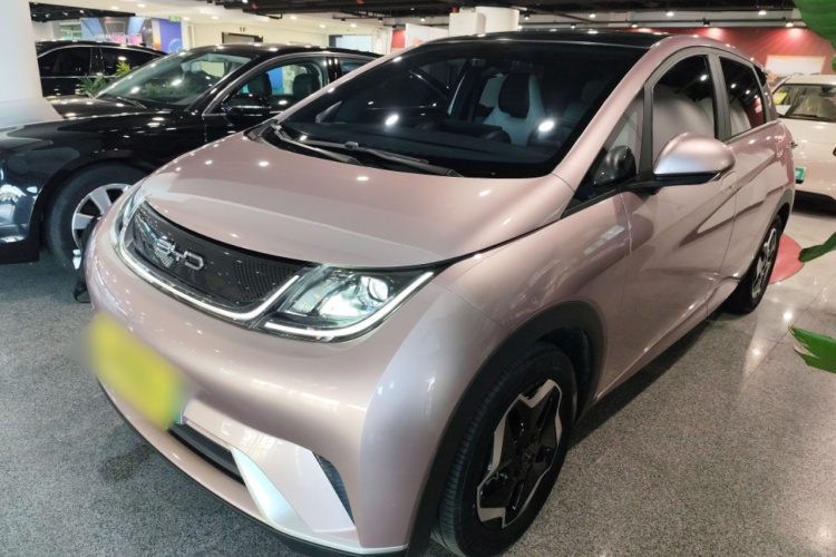 比亚迪 海豚 2021款 405km 时尚版车身外观1