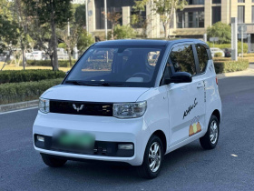五菱汽车 宏光MINIEV 2021款 马卡龙臻享款 磷酸铁锂