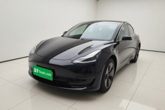 特斯拉 Model 3 2020款 标准续航后驱升级版