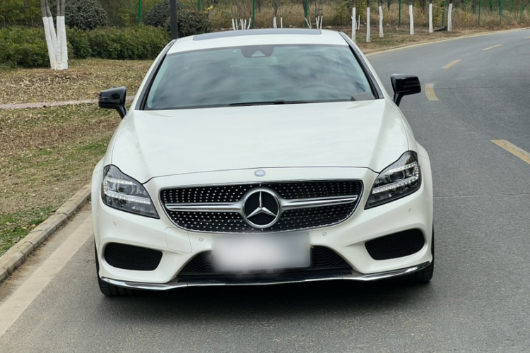 奔驰CLS 2015款 CLS 260车身外观6001