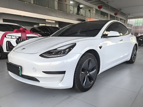 特斯拉 Model 3(进口) 2019款 标准续航后驱升级版(60度)