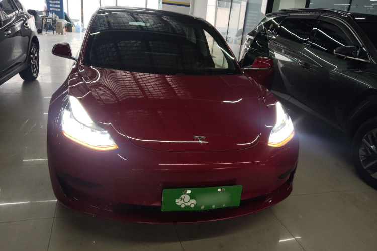 特斯拉 Model 3 2020款 标准续航后驱升级版车身外观6001
