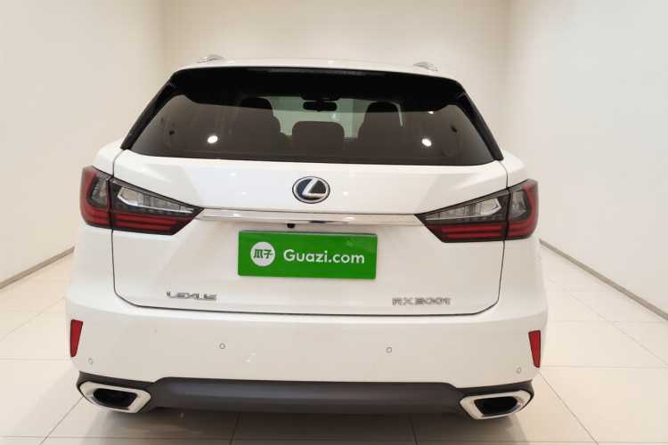 雷克萨斯RX 2016款 300 两驱精英版 国V车身外观6