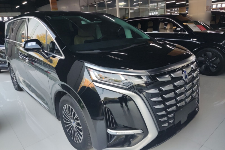 腾势D9 2024款 DM-i 980 四驱尊荣型车身外观3