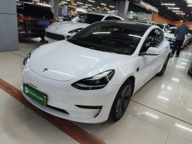 特斯拉 Model 3 2021款 标准续航后驱升级版 3D6