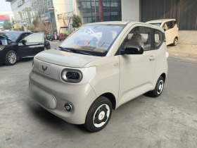 五菱汽车 宏光MINIEV 2024款 第三代 215km 青春版