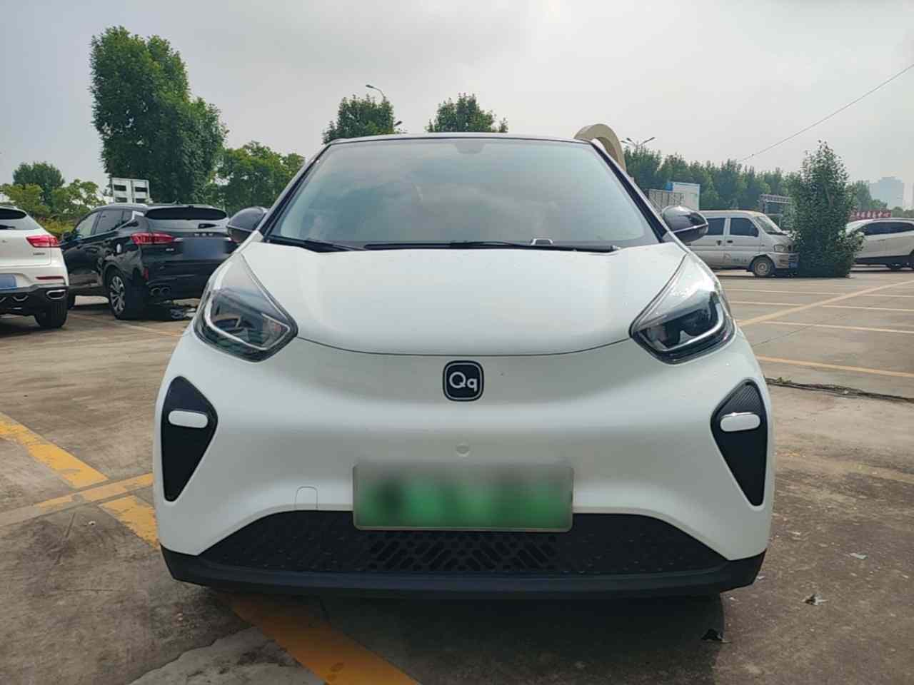 奇瑞QQ 小蚂蚁 2024款 青春版 321km 钟爱版 29.23kWh(1)