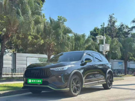 哈弗赤兔 2021款 激擎版 1.5T 铂金兔