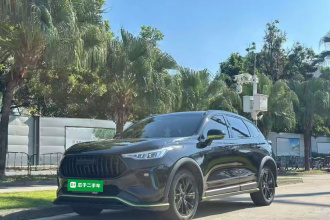 哈弗赤兔 2021款 激擎版 1.5T 铂金兔