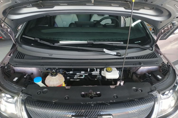 比亚迪 海豚 2021款 401km 骑士版机舱底盘24