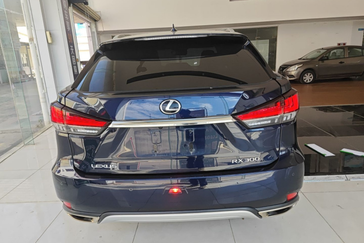 雷克萨斯RX 2020款 改款 300 四驱典雅版车身外观6004