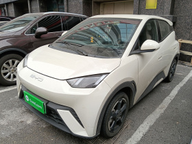 比亚迪 海鸥 2023款 飞翔版