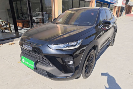 哈弗H6S 2022款 2.0T 两驱悦跑版