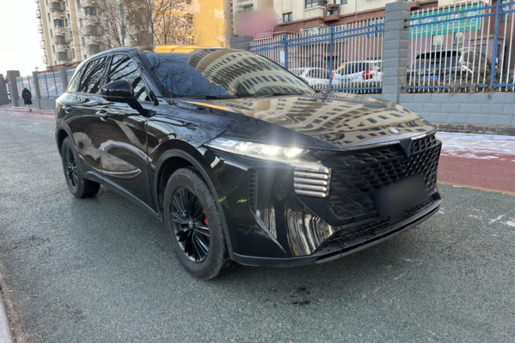 启辰大V 2023款 260T 黑马版 Pro车身外观6002