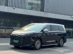 比亚迪 夏 2025款 DM-i 1.5T 180km 超越型