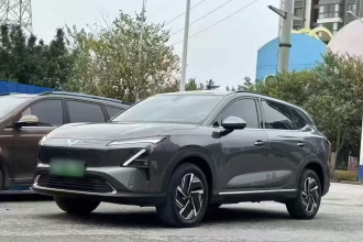 五菱汽车 五菱星光S 2024款 130km 领航型