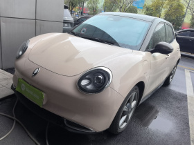 欧拉好猫 2022款 400km标准续航 豪华型 磷酸铁锂