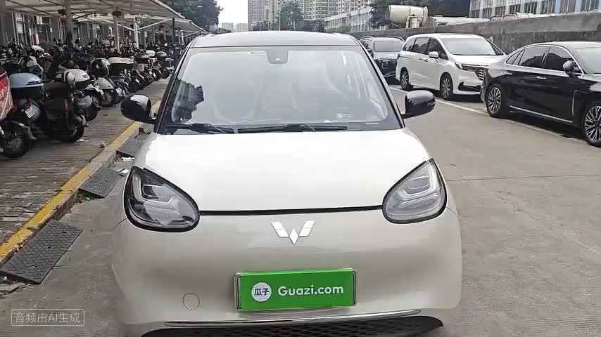 五菱汽车 五菱缤果 2023款 333km 灵犀互联+款检测视频1