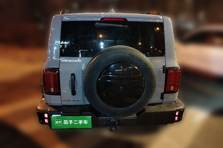 坦克300 2024款 2.0T 挑战者车身外观6004