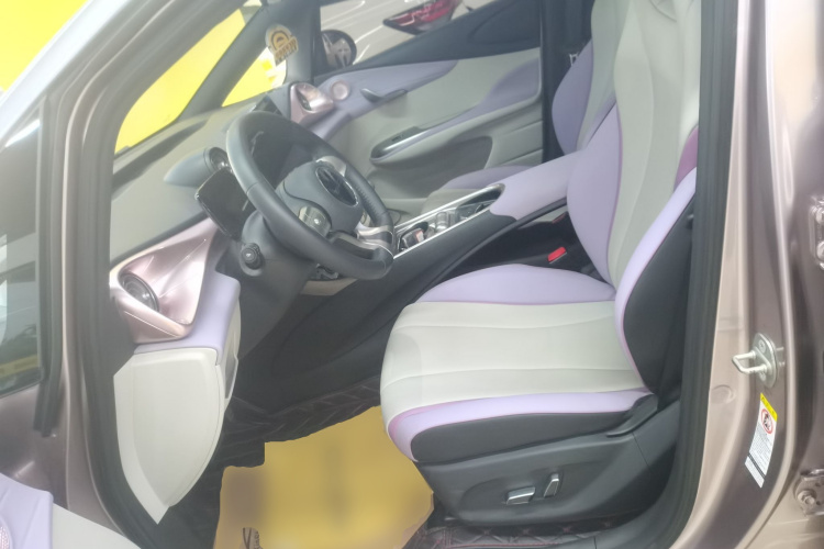 比亚迪 海豚 2021款 401km 骑士版局部细节19