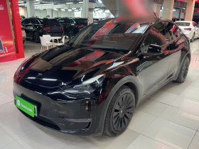 特斯拉 Model Y 2021款 标准续航后驱版