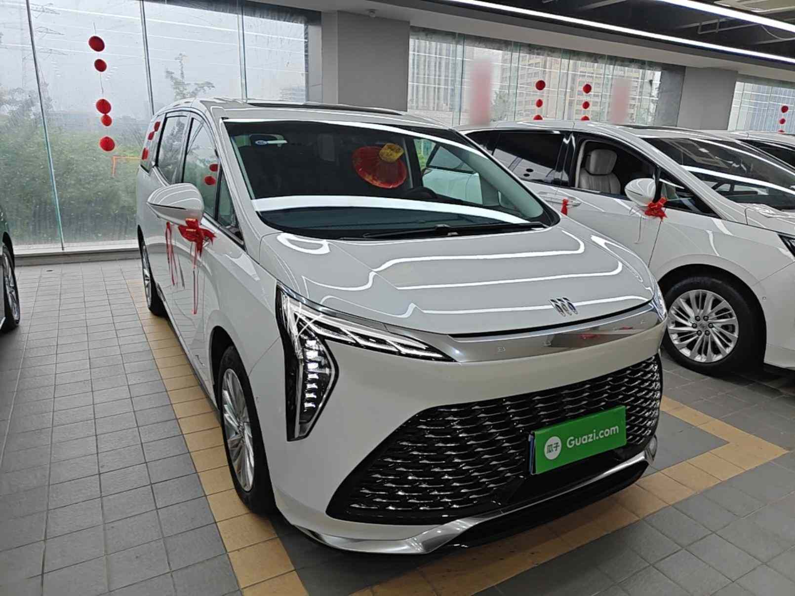 别克 世纪 2023款 2.0T 六座蕴世版(5)