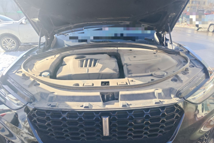 魏牌 VV7 2017款 2.0T 超豪型局部细节24