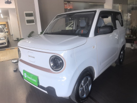 吉利银河 2024款 熊猫mini 200km 耐力熊