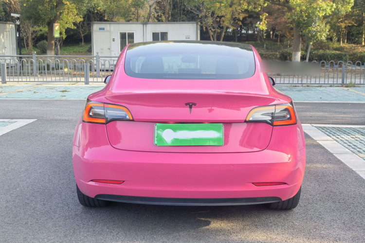 特斯拉 Model 3 2021款 Performance高性能全轮驱动版车身外观6004