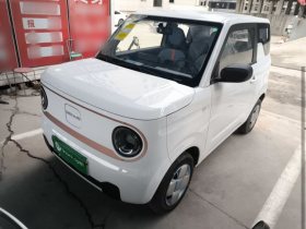 吉利银河 2024款 熊猫mini 200km 耐力熊