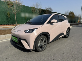 比亚迪 海鸥 2023款 自由版