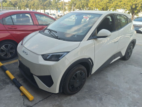 比亚迪 海鸥 2025款 智驾版 305km 活力版