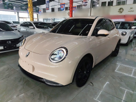 欧拉好猫 2024款 401km 豪华型