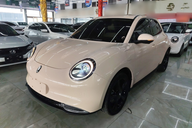 欧拉好猫 2024款 401km 豪华型车身外观1