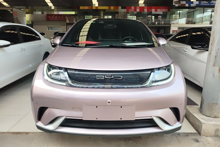 比亚迪 海豚 2023款 420km 时尚版车身外观2