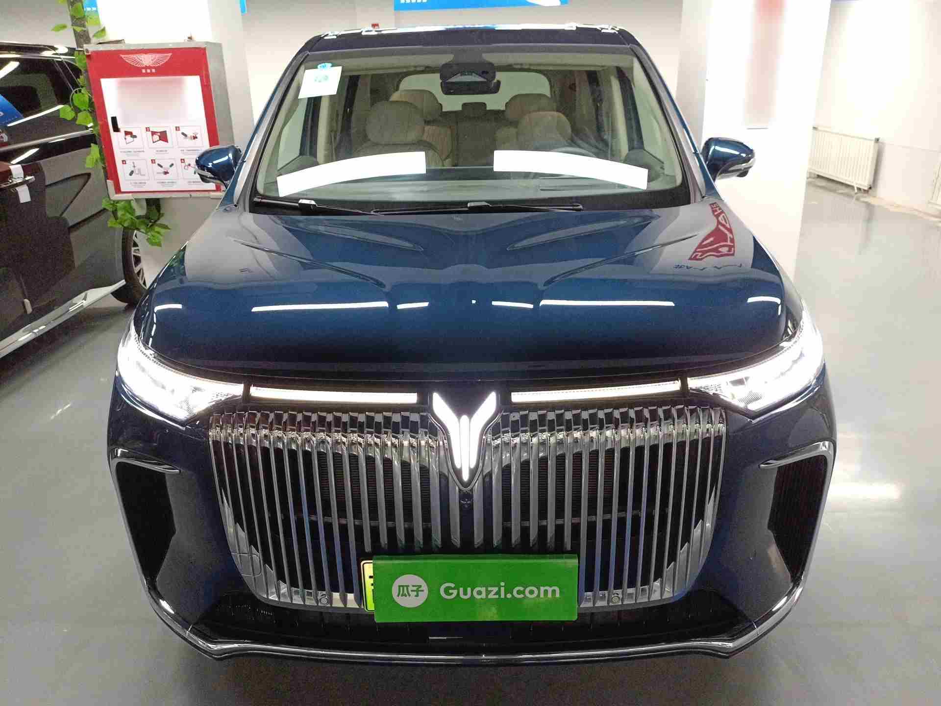 沈阳二手岚图梦想家2025款，新手能否驾驭这辆大块头？