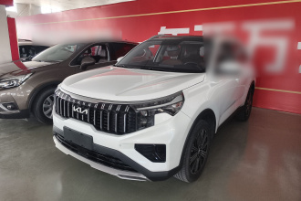 起亚 智跑 2021款 Ace 2.0L 精彩版