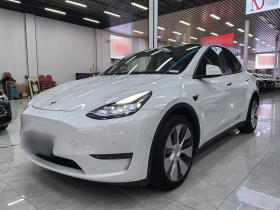 特斯拉 Model Y 2021款 长续航全轮驱动版 3D7