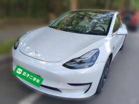 特斯拉 Model 3(进口) 2019款 长续航全轮驱动版