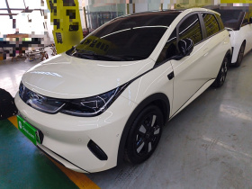 比亚迪 海豚 2025款 智驾版 410km 时尚版