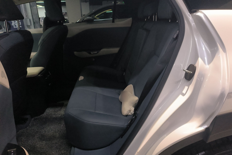 雷克萨斯RZ 2023款 450e 四驱纵享版中控内饰7004