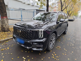 广汽传祺 传祺GS8 2024款 领航系列 2.0TGDI 两驱豪华智联版