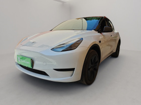 特斯拉 Model Y 2024款 后轮驱动版