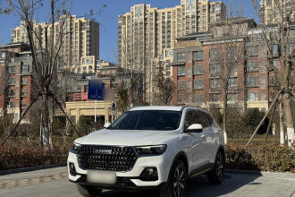 哈弗H6 2021款 国潮版 1.5GDIT 自动豪华版