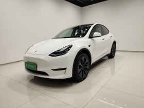 特斯拉 Model Y 2024款 后轮驱动版