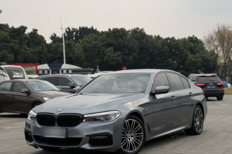 宝马5系(进口) 2019款 530i M运动套装