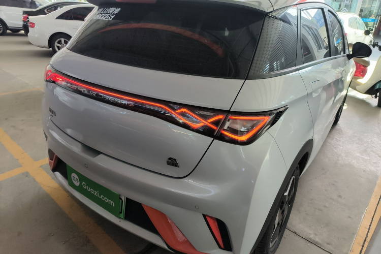 比亚迪 海豚 2021款 405km 时尚版车身外观7